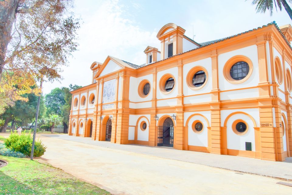 Jerez de la Frontera: How the Andalusian Horses Dance - Key points you’ll care about