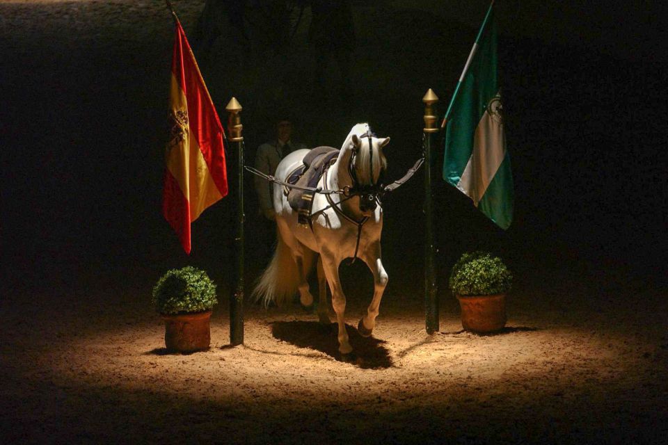 Jerez de la Frontera: How the Andalusian Horses Dance - Price and value: is $31 a fair deal?