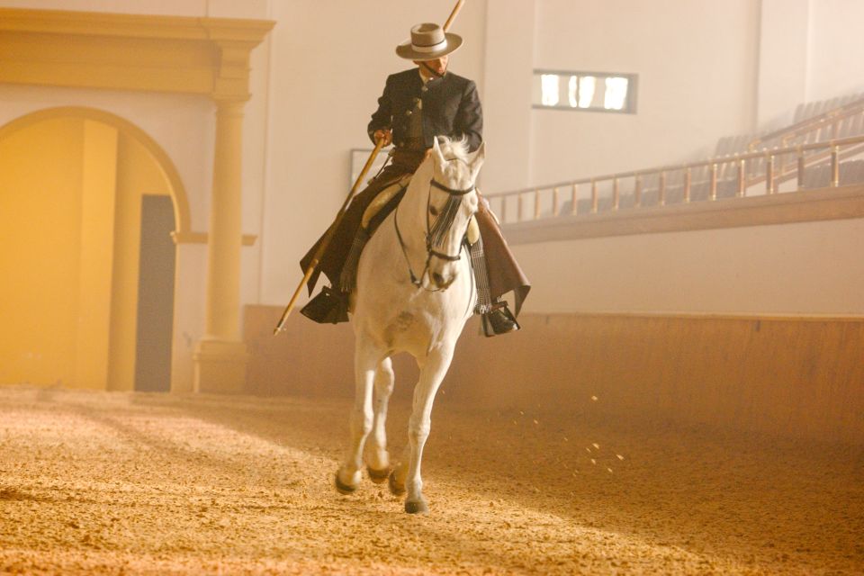 Jerez de la Frontera: How the Andalusian Horses Dance - Best way to fit this into your day from Cádiz