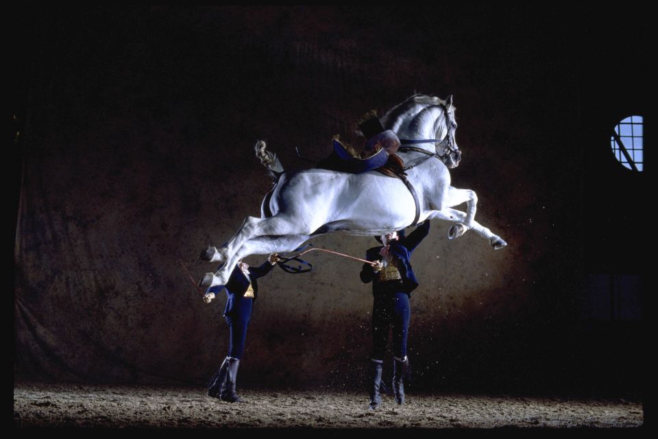 Jerez de la Frontera: How the Andalusian Horses Dance - Special dates: the Four Equestrian European Schools galas