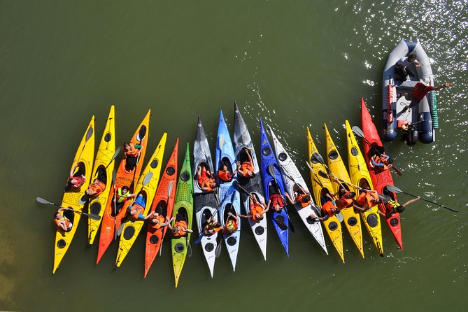 Kayak Tour or Seville Rental - Price and Timing: What You’re Really Paying For