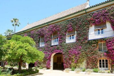 "Las Dueñas" Palace ticket + Audioguide - The English audio guide: how to use it well