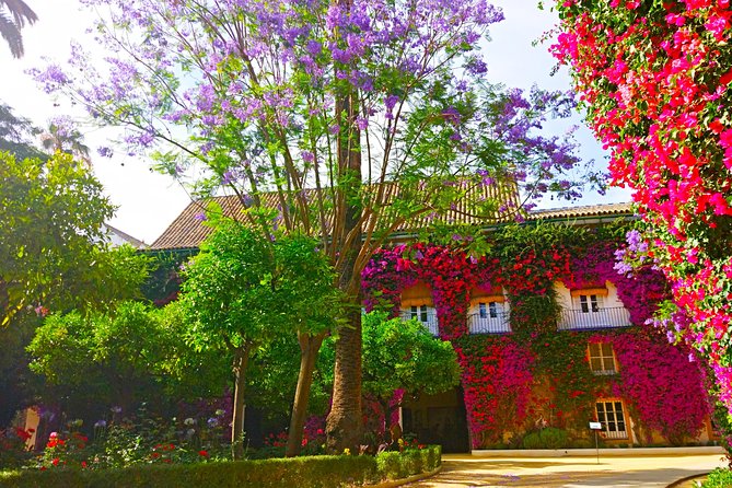 "Las Dueñas" Palace ticket + Audioguide - Where you’ll go: ticket redemption at C. Dueñas, 5