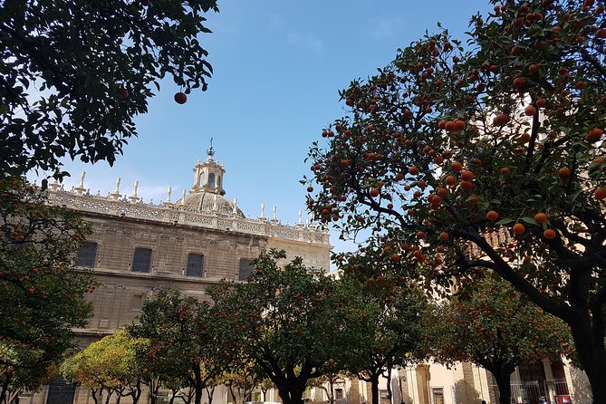 Luggage Room in Seville City Centre - Luggage storage in Seville that actually fixes your schedule