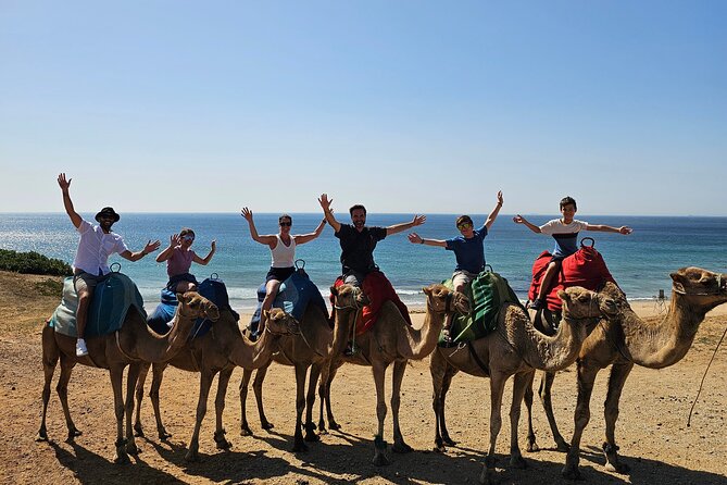 Morocco Express: Private Tour Tangier from Seville AllInclusive - Key Takeaways Before You Go