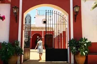 Oleotourism and olive oil tasting in Seville - Private tour - Snacks during the tour: Andalusian flavors without calling it lunch