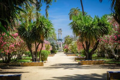 One-way Private Transfer From/To Sevilla Airport - Choosing the Right Vehicle Size for Your Group and Bags