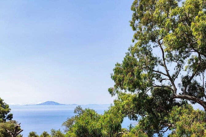 Premium private trip to Gibraltar from Seville (multiple options) - Upper Rock Nature Reserve: how the tour keeps you moving