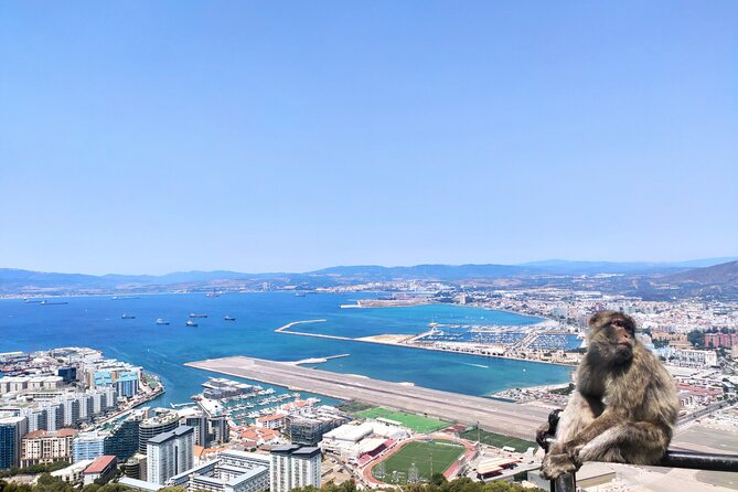 Premium private trip to Gibraltar from Seville (multiple options) - St. Michael’s Cave Awakening and the glass Skywalk