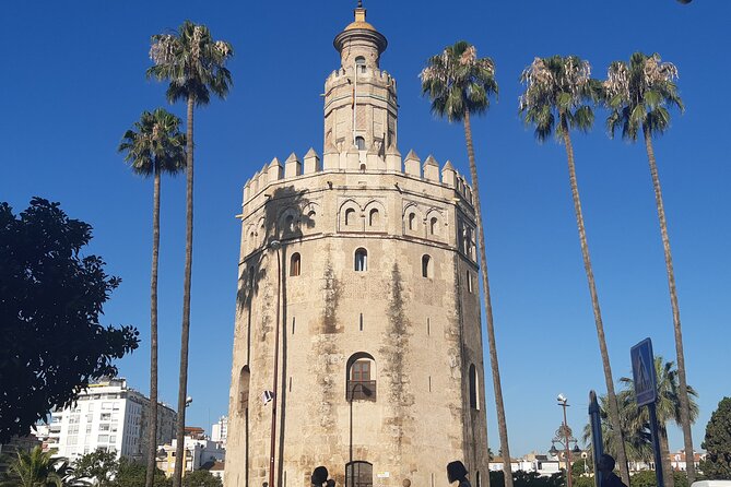 Private 2-Hour City Tour of Seville - Torre del Oro: Identity by the Water