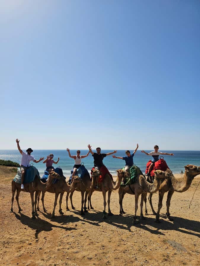 Private Day Trip: Gibraltar & (Tangier) Morocco from Seville - Quick Hit Highlights Before You Go