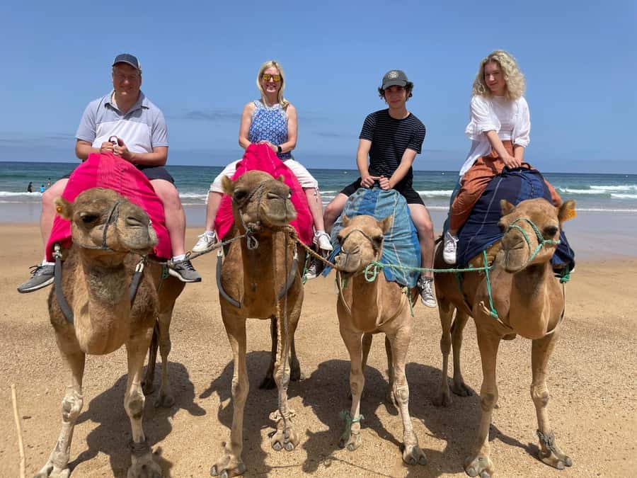 Private Day Trip: Gibraltar & (Tangier) Morocco from Seville - Who Should Book This Private Gibraltar and Tangier Day Trip
