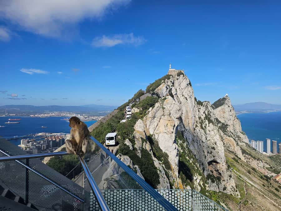 Private Day Trip: Gibraltar & (Tangier) Morocco from Seville - How Gibraltar and Tangier Feel Like a World Jump in One Day