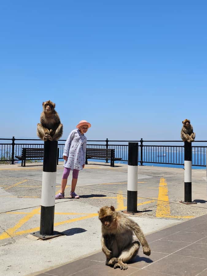 Private Day Trip: Gibraltar & (Tangier) Morocco from Seville - Food and Lunch Timing: Plan for Meals Beyond What’s Listed
