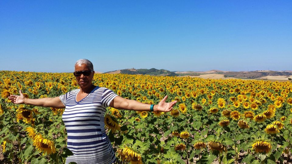 Private Day Trip to Ronda and Malaga from Seville - A private 12-hour jump from Seville to two Andalusian icons