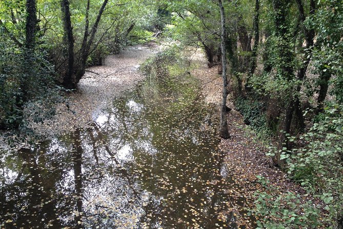 Private Ebike full day excursion to Sierra Norte Natural Park - Stop 1 in the Sierra Norte: start in the natural area, not on a parking lot