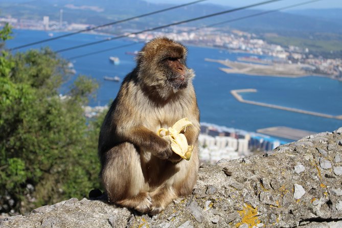 Private Gibraltar Day Tour from Seville - Main Street (30 minutes): quick orientation that saves you later