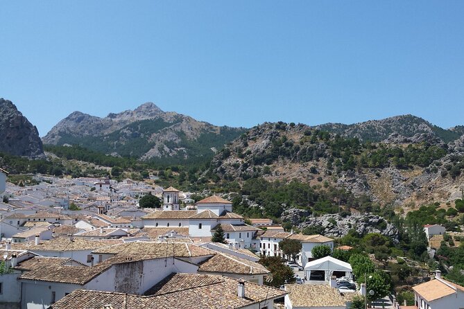 Private Guided Day Trip to the White Villages and Ronda - Stop 1: Setenil de las Bodegas and the funhouse of stone overhangs