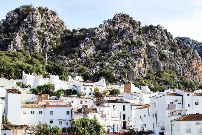 Private Guided Day Trip to the White Villages and Ronda from Seville - Setenil de las Bodegas: walk the rock-shelter streets