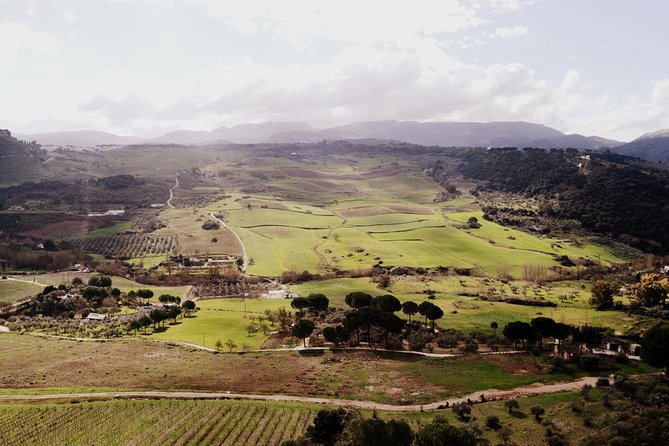 Private Guided Day Trip to the White Villages and Ronda from Seville - Lunch choices: local food help without the hard sell