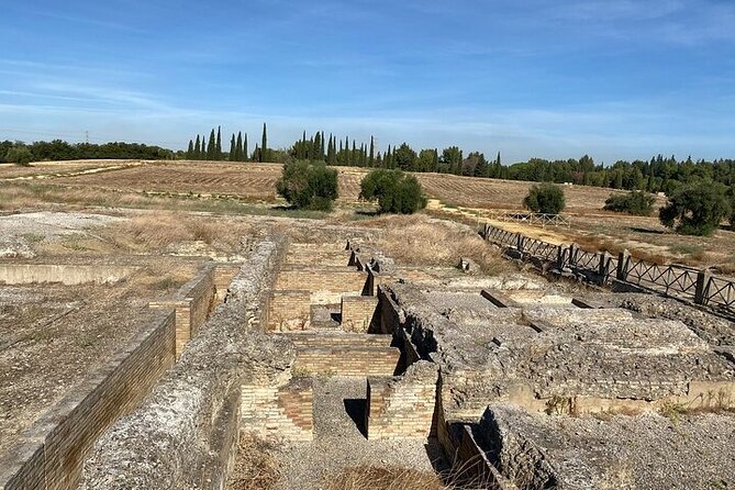Private hald day tour to the historic roman city of Italica - Price and Logistics: Is $93.71 Good Value?