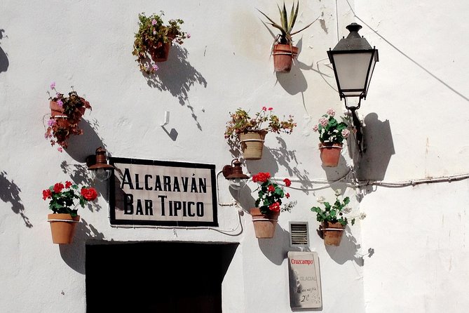 Private Seville Transfer to Malaga Including Visit to Ronda - Ronda on a clock: how you use up to 3 hours