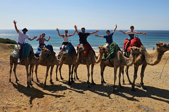Private Tour: Day through Gibraltar and Morocco, Tangier from Seville - Key highlights you’ll actually feel during the day