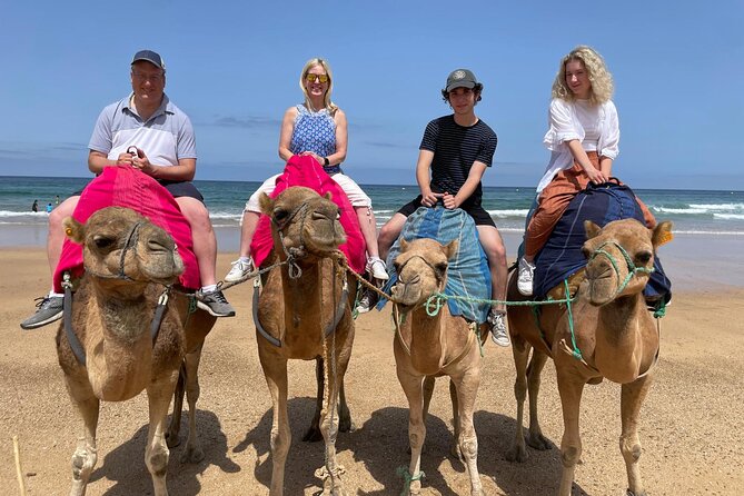 Private Tour: Day through Gibraltar and Morocco, Tangier from Seville - Price and value: what you’re really paying for