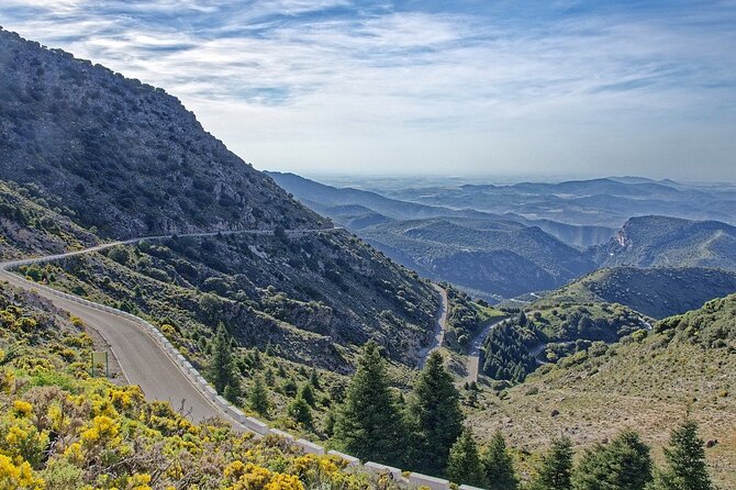 Private Tour from Seville to Setenil and Zahara and Ronda - Stop 3: Ronda in the Serranía de Ronda with a bigger-town feel