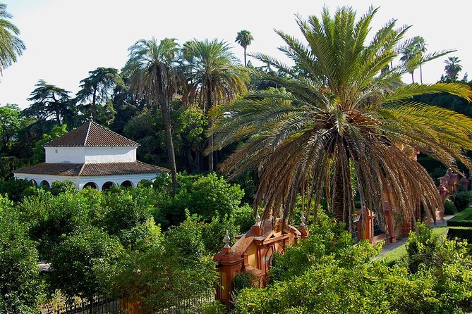 Private tour One day in Seville - Barrio de Santa Cruz and Murillo Gardens: The day turns human here