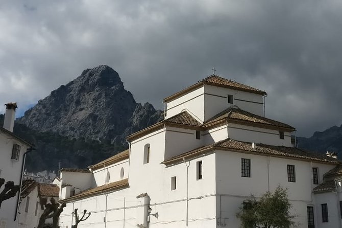 Private Tour Ronda and White Villages from Seville - Sierra de Grazalema Natural Park: nature + an oil mill stop