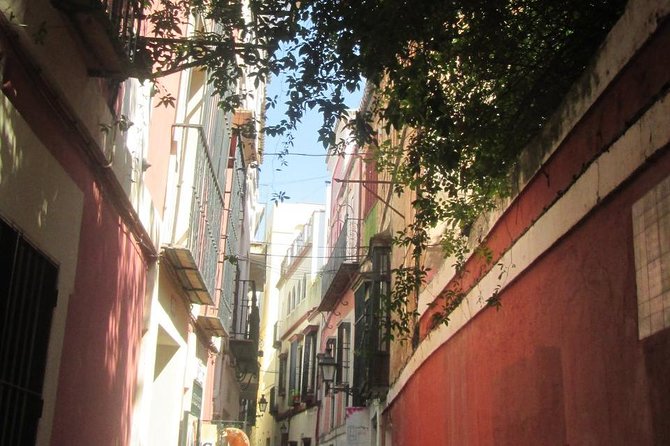 Private tour Royal Palace+Cathedral+old Jewish neighbourhood - Real Alcázar: why Gothic and Mudéjar belong together