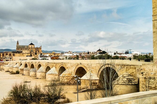 Private tour to Cordoba from Seville (several options) - Key highlights worth planning for