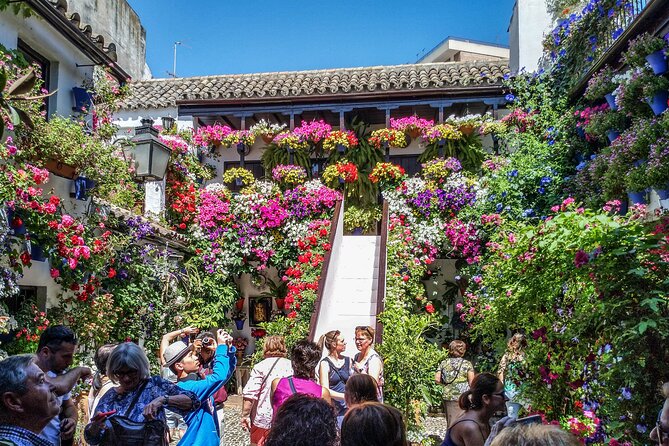 Private tour to Cordoba from Seville (several options) - The real payoff: private pacing from Seville