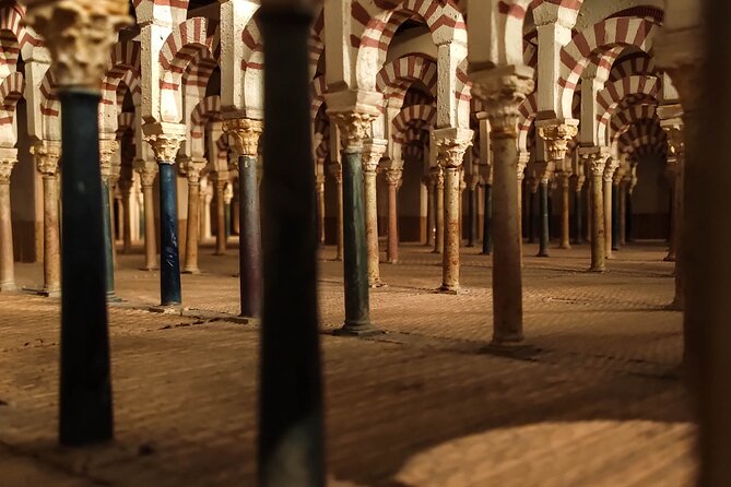 Private tour to Cordoba from Seville (several options) - Patios de Córdoba: cooling courtyards and a living tradition