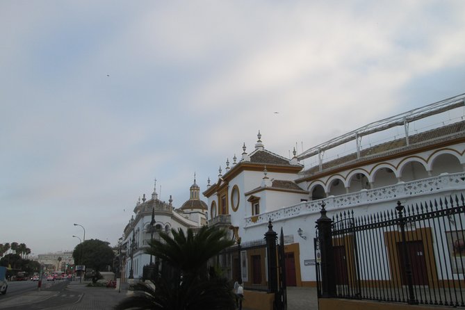 Private tour to the bullring La Maestranza - Real Maestranza de Caballería: what you actually see
