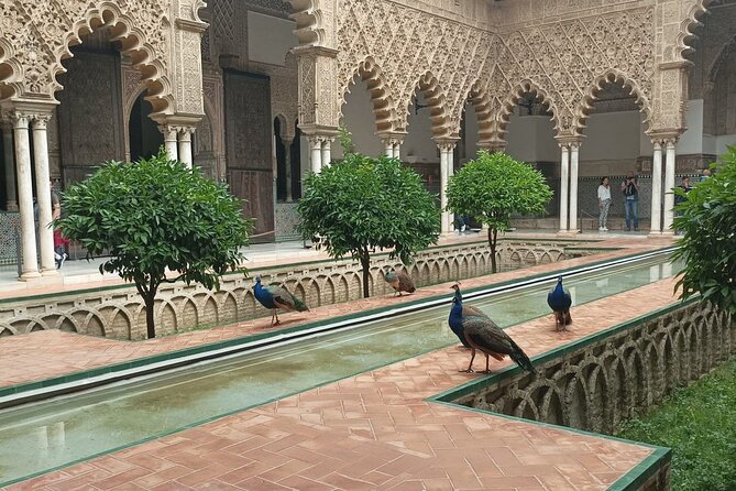 Private Tour with Local Guide to know the Seville Essential - Why this Seville essentials tour feels worth the money