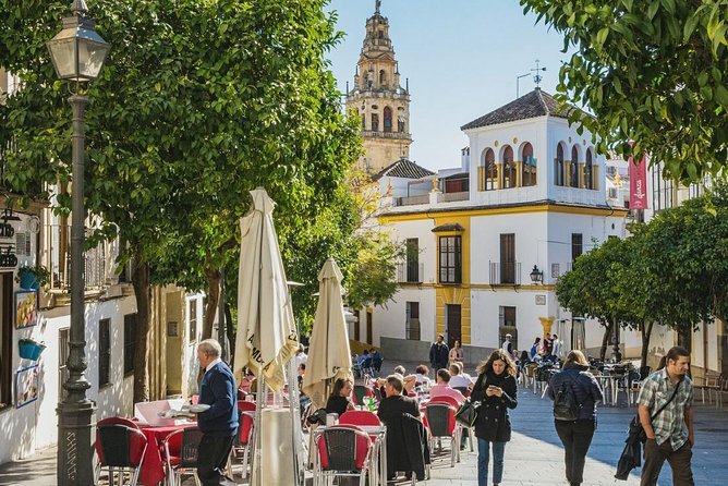 Private Transfer Seville to Granada with a Tour of Cordoba/Mosque - The countryside drive to Granada: how the day feels in motion