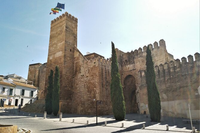 Private trip to Carmona from Seville: 5000 years of history - Price and Value: What $300.40 per Person Really Buys