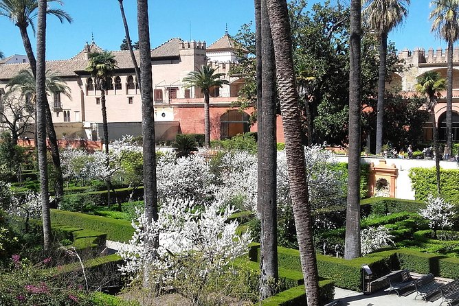 Private visit Cathedral and Royal Alcazares of Seville - A private 3-hour route that ties Seville’s power and faith together
