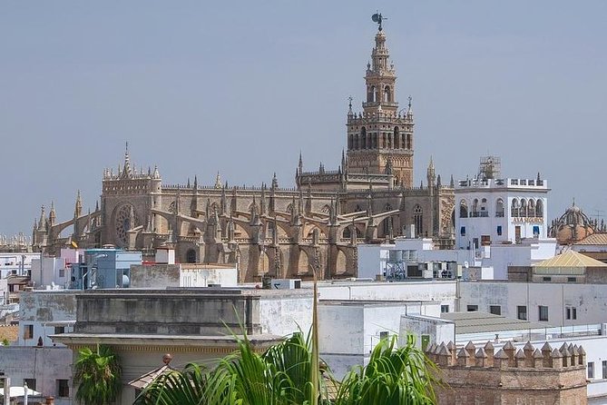 Private visit Cathedral and Royal Alcazares of Seville - Seville Cathedral in one hour: the main altar, stained glass, and Columbus’ remains