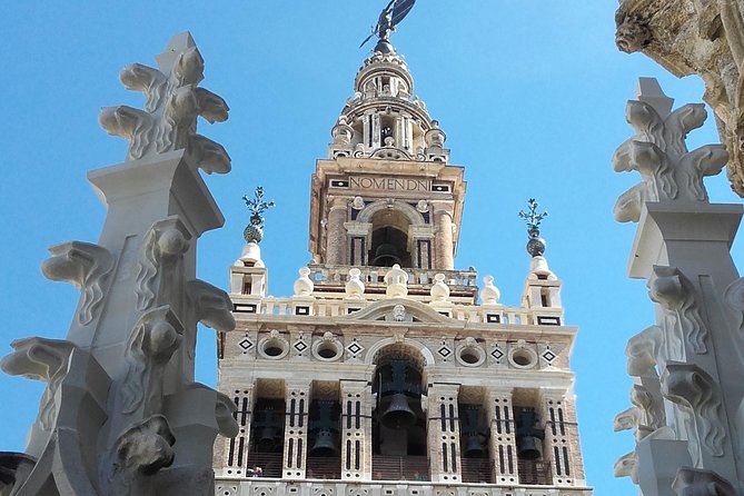 Private visit Cathedral and Royal Alcazares of Seville - Practical tips that actually help on tour day