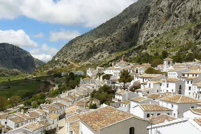 Private White Villages & Ronda Day Tour from Seville - Price and value: what you’re paying for