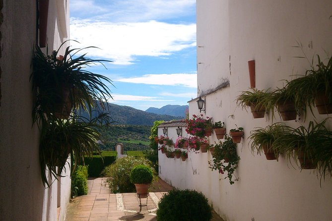 Private White Villages & Ronda Day Tour from Seville - Hotel pickup in Seville: the hidden value of not fighting logistics