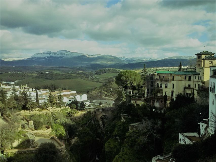 Pueblos Blancos & Ronda: Private Full-Day Tour from Seville - Leaving Seville: the countryside road trip you actually came for