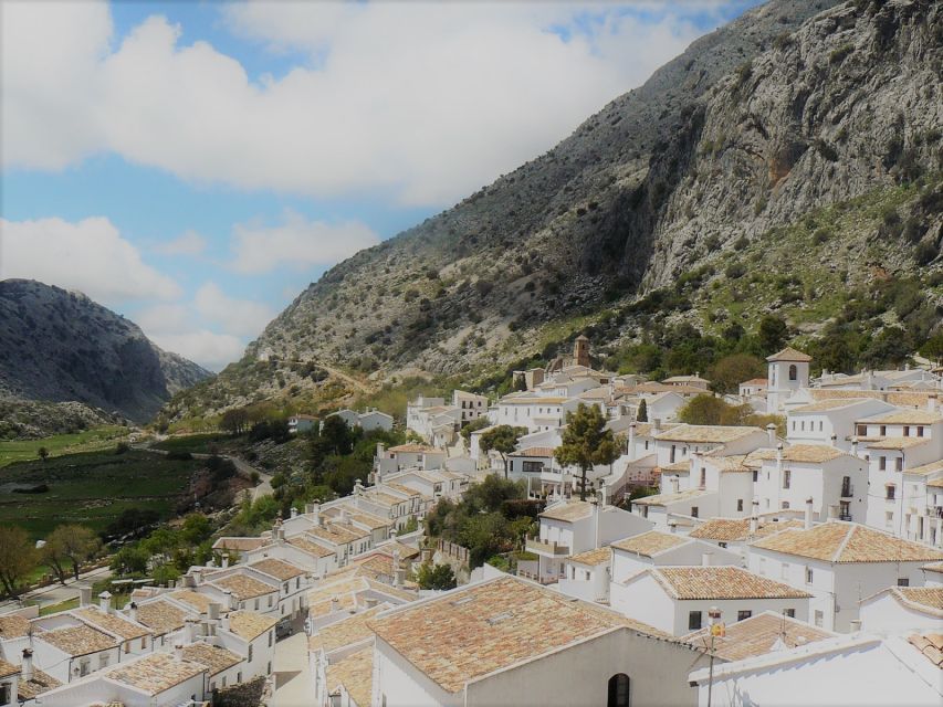 Pueblos Blancos & Ronda: Private Full-Day Tour from Seville - Zahara de la Sierra: hilltop wandering, coffee, and olive oil