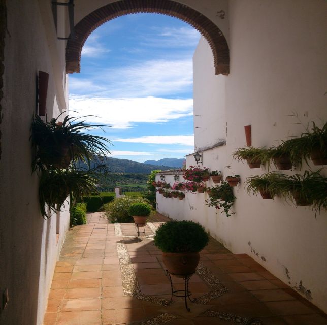 Pueblos Blancos & Ronda: Private Full-Day Tour from Seville - Cork forests on the way to Ronda: work the land still does