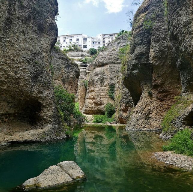 Pueblos Blancos & Ronda: Private Full-Day Tour from Seville - Swapping in Setenil de las bodega or Arcos de la Frontera