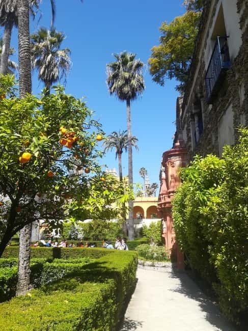 Real Alcázar of Seville Skip-the-Line Private Tour - Price and Value: Is $73 Worth It?