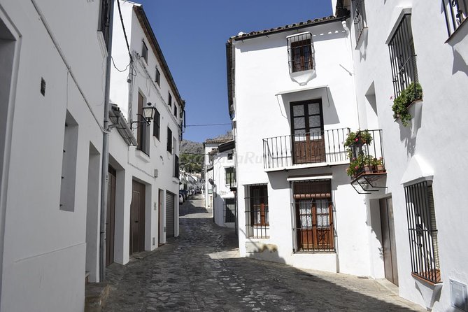 Ronda and White Villages Guided Day Tour from Seville - Historic Center of Ronda: Churches, Streets, and a Guided Sense of Place